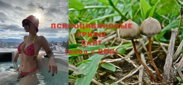 марки nbome Алексеевка