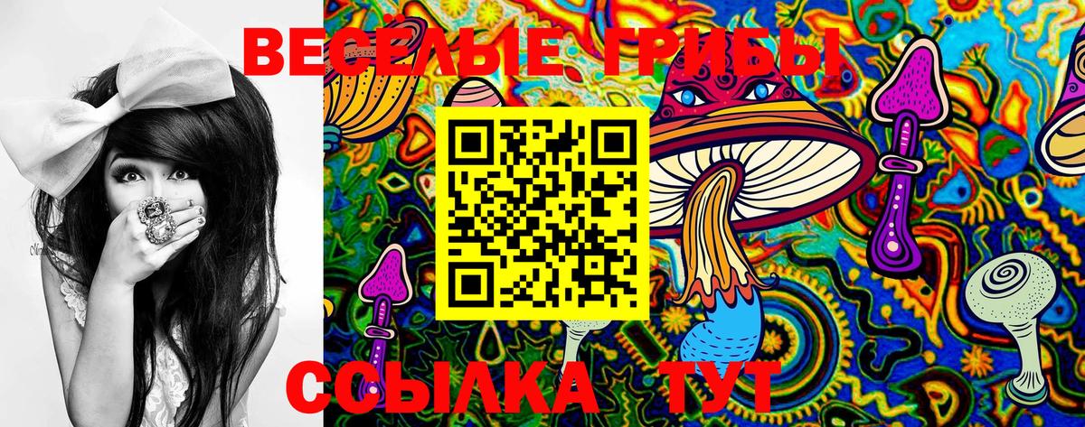 Псилоцибиновые грибы Cubensis  Вход с VPN  Копейск 