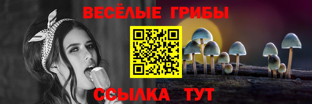 Псилоцибиновые грибы Cubensis Копейск