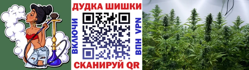 Бошки Шишки AK-47  hydra сайт  Копейск  купить  сайты 